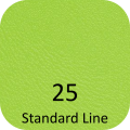 Stół rehabilitacyjny do pionizacji Juventas NSR-P Comfort 3 - tapicerka Standard Line kolor nr 25