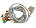 Holter EKG AsPEKT 712 HLT 301 - kabel pacjenta KRH 712 322 na 10 elektrod - wyposażenie standardowe holtera