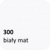 Kolor ekranu PCV parawanu lekarskiego - kolor 300 biały